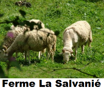 Ferme la salvanie
