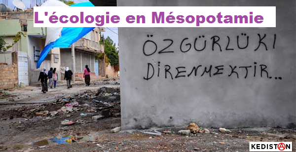 L ecologie en mesopotamie