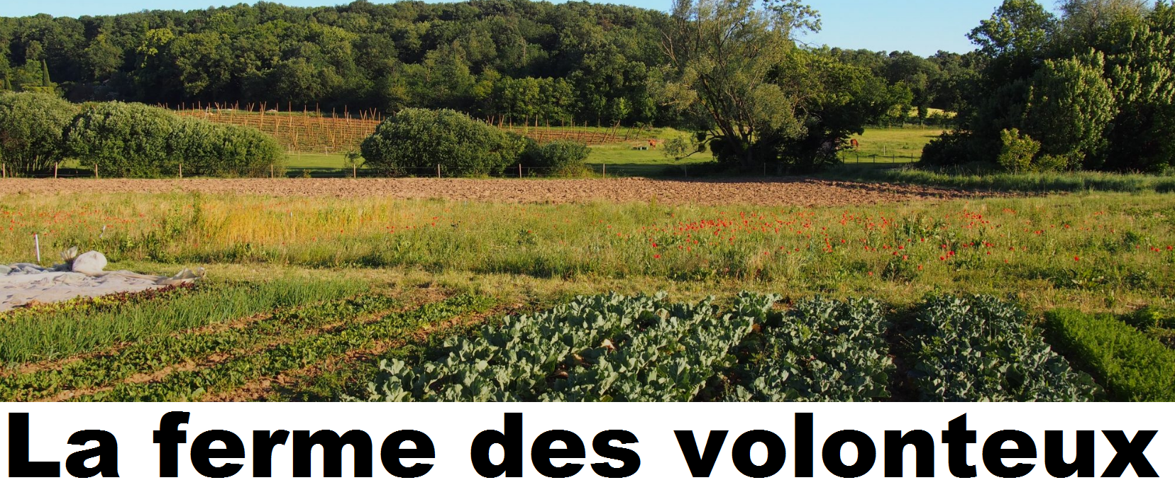 La ferme des volonteux